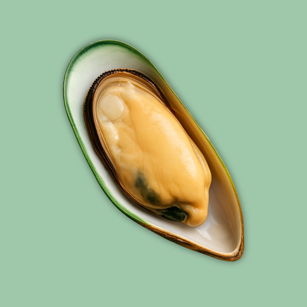 glp-mussle